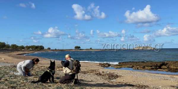 Χανιά: Νεκρά 4 σκυλιά από φόλες στα Φαλάσαρνα - Αναζητείται ο δράστης (ΦΩΤΟ)