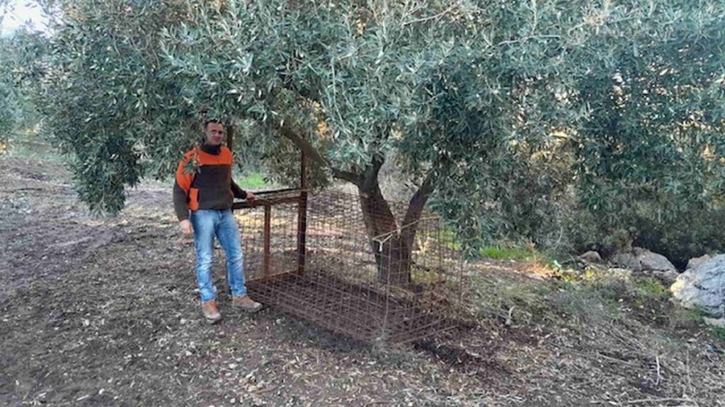 Θερμοπύλες: Τους χάλασε τα σχέδια η θηροφυλακή (ΦΩΤΟ)