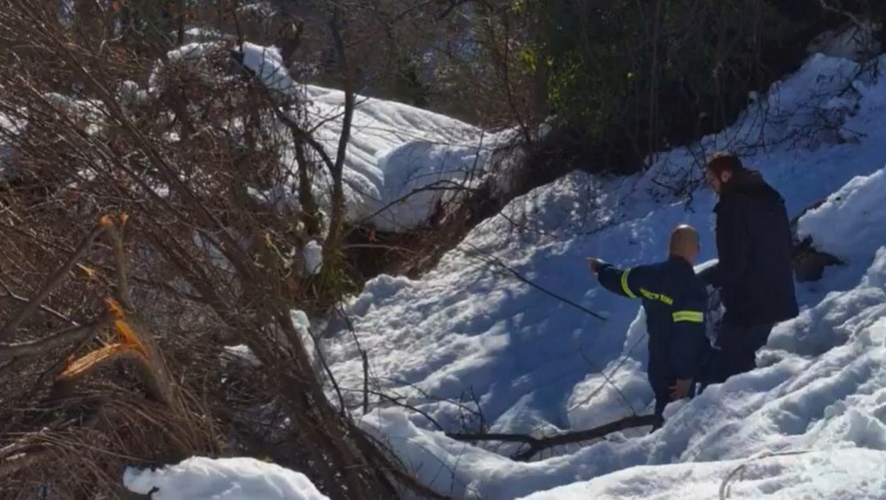 Πυροσβέστες μετέφεραν τρόφιμα σε 95χρονο αποκλεισμένο στα χιόνια