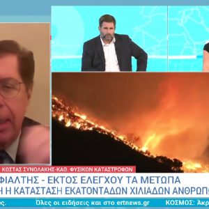 Συνολάκης για φωτιές στο Λος Άντζελες: Τόσες οι εστίες που δεν υπήρχε νερό να μπορεί να τις σβήσει – Πρέπει να προετοιμαστούμε και στην Ελλάδα