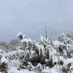 Κλειστά σχολεία αύριο στη Δυτική Μακεδονία, υποχρεωτικές αλυσίδες και απαγόρευση κυκλοφορίας των φορτηγών