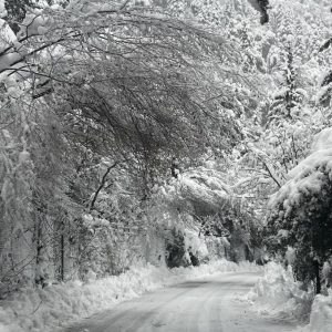 Όμορφες εικόνες από την χιονισμένη περιοχή της Μονής Αγάθωνος