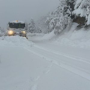 Έπεσε πολύ χιόνι στα χωριά του Δήμου Λαμιέων - Δείτε εικόνες