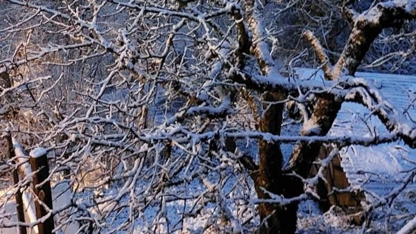 Φθιώτιδα: Φρέσκο χιόνι στα ορεινά χωριά και πολύ κρύο για 8η ημέρα (ΒΙΝΤΕΟ)