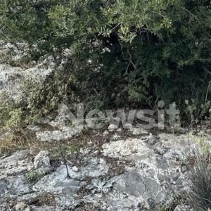 Βασίλης Καλογήρου: Σε αυτό το σημείο βρέθηκε η σορός του 39χρονου – Δύσκολα προσβάσιμο και 200 μέτρα από την κτηνοτροφική μονάδα