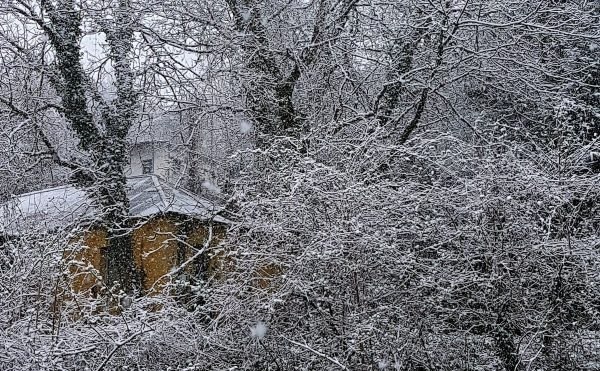 Φθιώτιδα: Ελάχιστο χιόνι χωρίς προβλήματα - Το πρωινό του Σαββάτου δεν ήταν το πιο κρύο