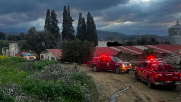 Φωτιά σε χοιροστάσιο στα Ψαχνά