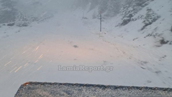 Αλπικό τοπίο στον Παρνασσό από τα 1.000 υψόμετρο