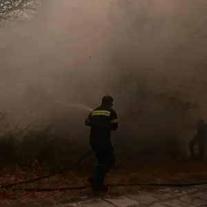 Φωτιά στη Λευκάδα σε δάσος στην περιοχή Αθάνι: Σηκώθηκε ελικόπτερο