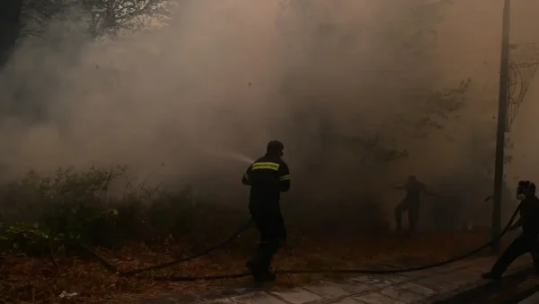 Φωτιά στη Λευκάδα σε δάσος στην περιοχή Αθάνι: Σηκώθηκε ελικόπτερο