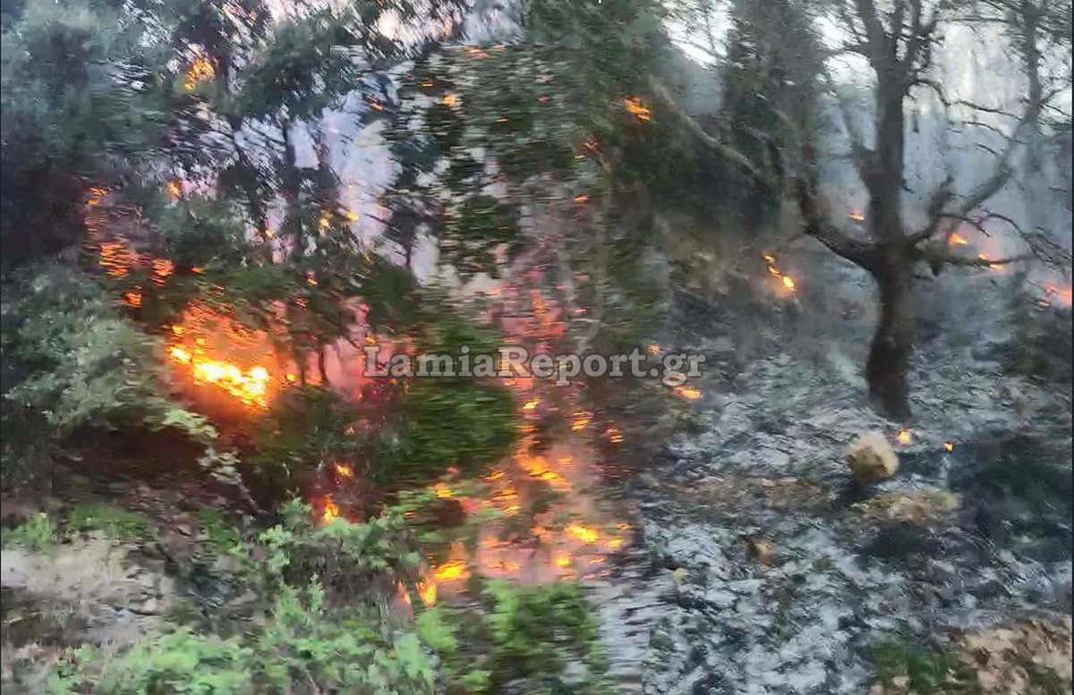 Πυρκαγιά στους Μύλους Φθιώτιδας κοντά στο Μοναστήρι (ΒΙΝΤΕΟ-ΦΩΤΟ)