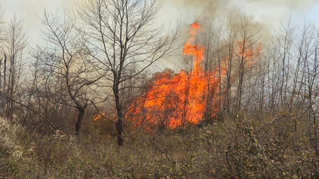 Κινητοποίηση της Πυροσβεστικής για πυρκαγιά στις Μεξιάτες