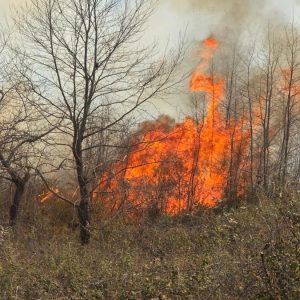 Κινητοποίηση της Πυροσβεστικής για πυρκαγιά στις Μεξιάτες