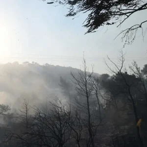 Φωτιά στην Καστοριά ανάμεσα στα χωριά Φωτεινή και Πολυκάρπη