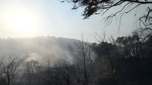 Φωτιά στην Καστοριά ανάμεσα στα χωριά Φωτεινή και Πολυκάρπη