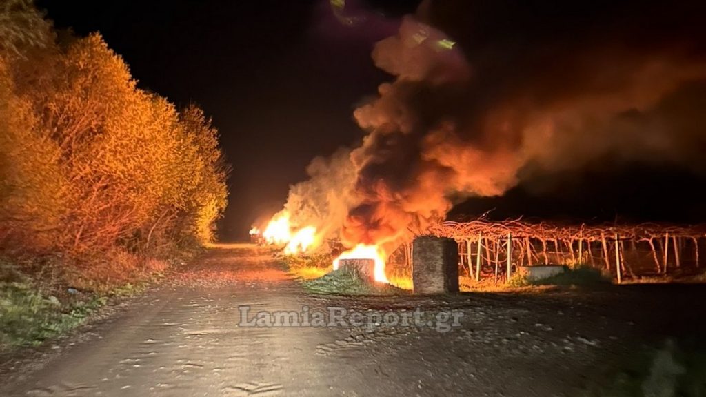 Φθιώτιδα: Όταν ανάβεις φωτιές μέσα στην Άνοιξη για σώσεις τα δέντρα σου από τον παγετό - ΒΙΝΤΕΟ