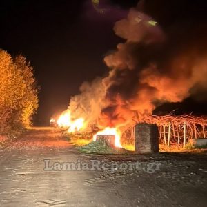 Φθιώτιδα: Όταν ανάβεις φωτιές μέσα στην Άνοιξη για σώσεις τα δέντρα σου από τον παγετό - ΒΙΝΤΕΟ