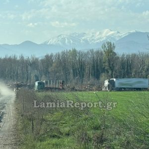 Εργατικό δυστύχημα το πρωί στη Φθιώτιδα - Τον σκότωσε το πλατάνι που προσπάθησε να απομακρύνει