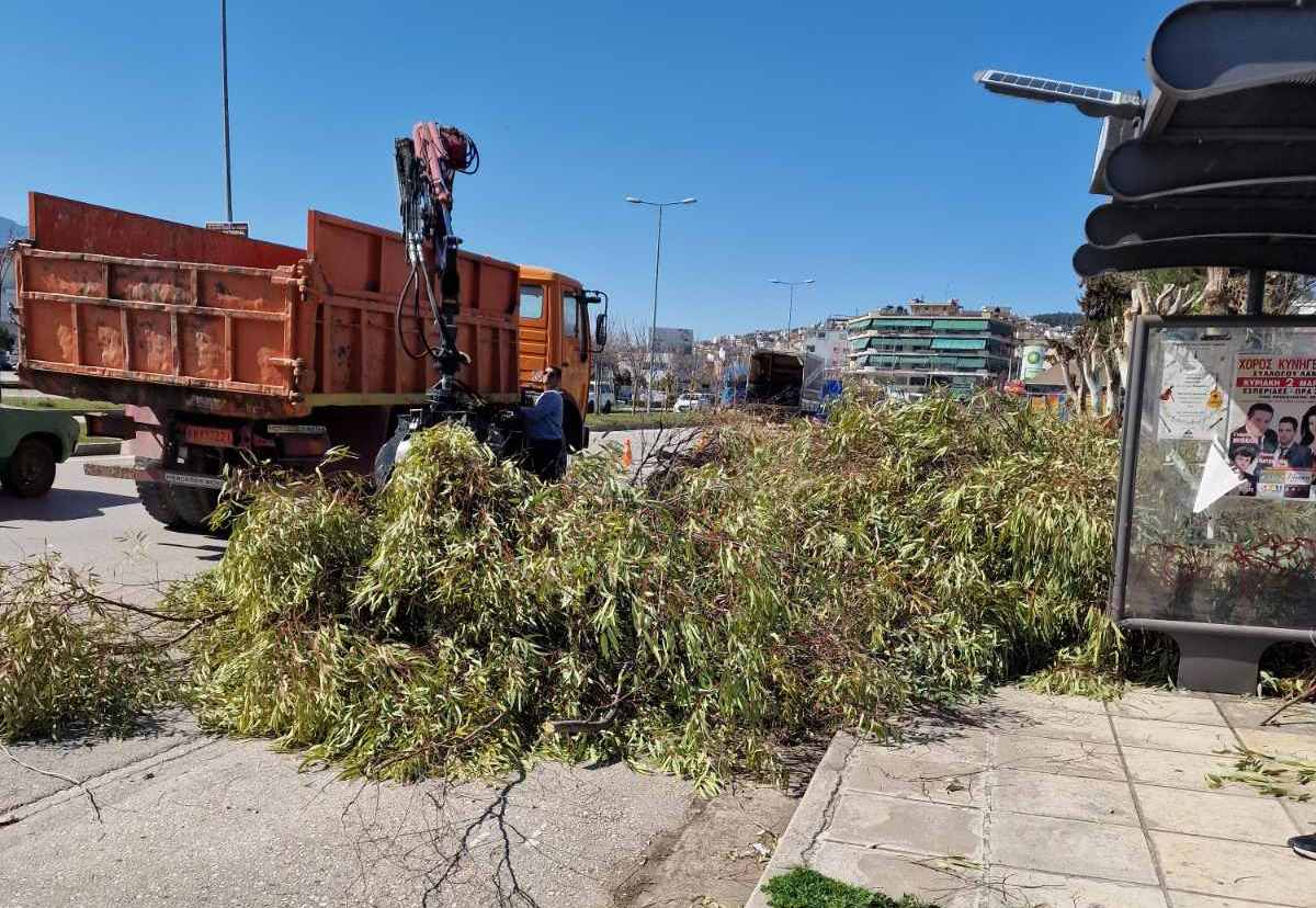 Δήμος Λαμιέων: Κλάδεψαν επικίνδυνα δέντρα εντός και εκτός σχολείων (ΦΩΤΟ)