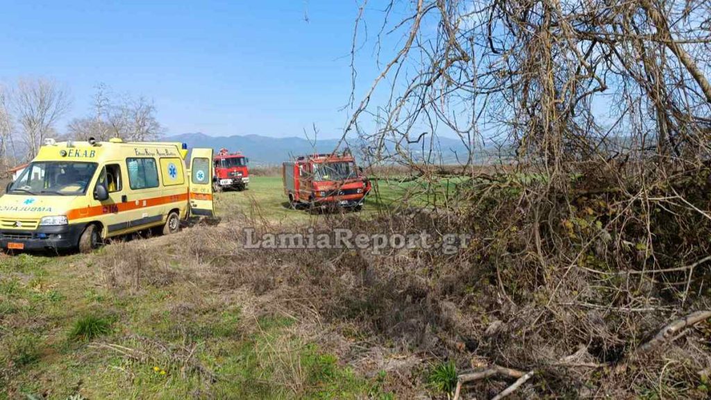 Εργατικό δυστύχημα στη Φθιώτιδα - Τον σκότωσε το πλατάνι που προσπάθησε να απομακρύνει