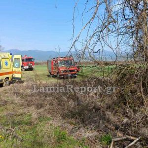 Εργατικό δυστύχημα στη Φθιώτιδα - Τον σκότωσε το πλατάνι που προσπάθησε να απομακρύνει