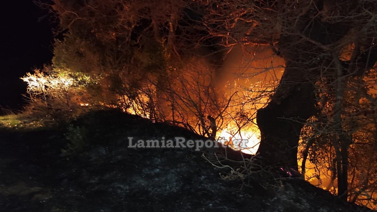 Φθιώτιδα: Δασική πυρκαγιά το βράδυ του Σαββάτου