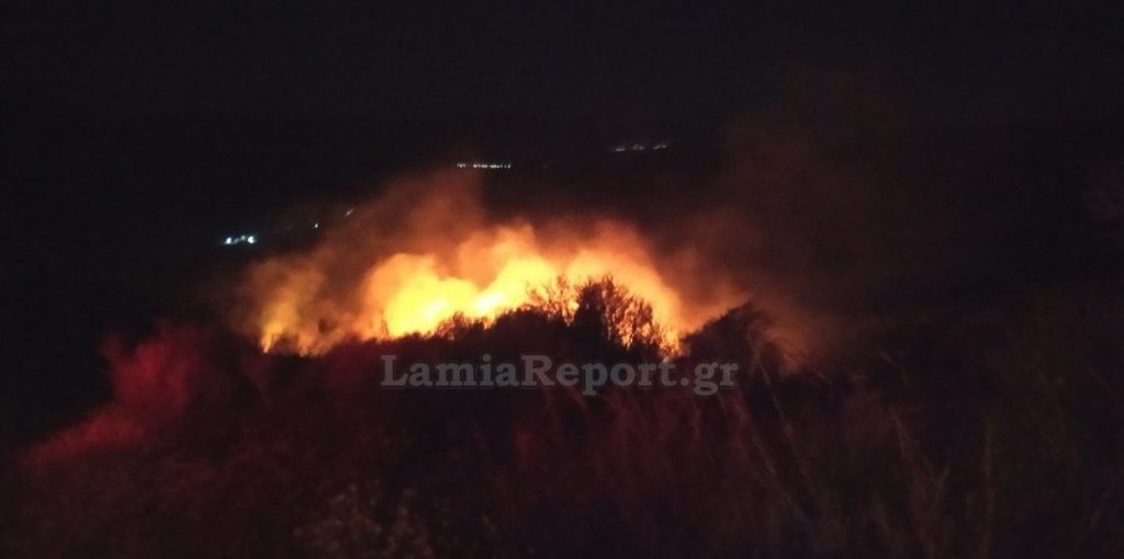 Υπό έλεγχο η πυρκαγιά στην Κάρυστο