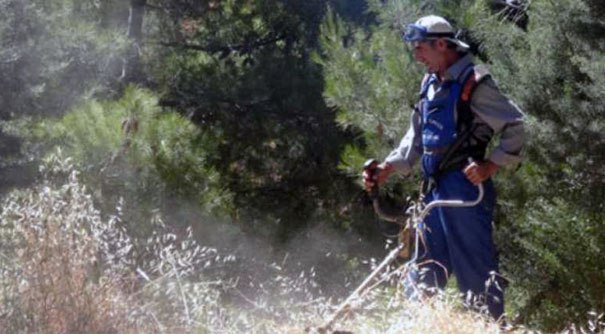 Θέσεις εργασίας στο Δήμο Λοκρών