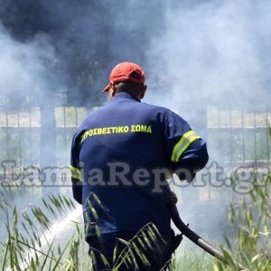 Ακόμη ένα βαρύ πρόστιμο στην Εύβοια για καύση στην ύπαιθρο