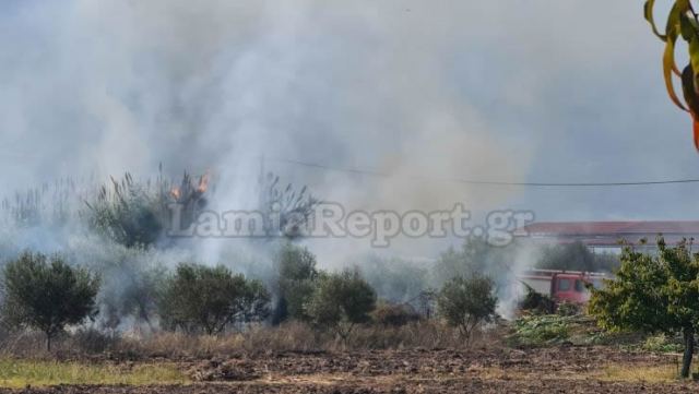 Κάηκαν ζώα σε ποιμνιοστάσιο και το τροχόσπιτο που έμενε ο κτηνοτρόφος