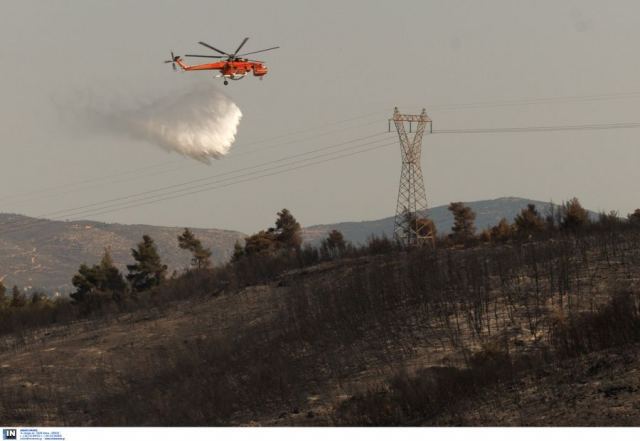 Φωτιά στο Μαρκόπουλο σε δύο μέτωπα – Σηκώθηκαν αεροσκάφη και ελικόπτερα