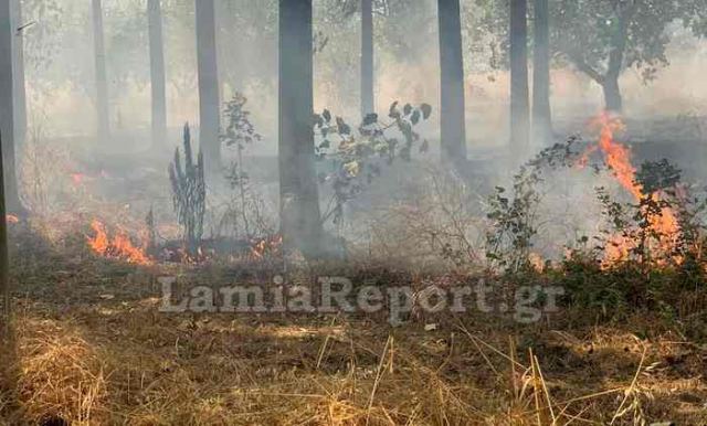 Βροχή τα πρόστιμα στους παραβάτες από την Πυροσβεστική