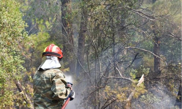 Μεγάλη φωτιά στην Αχαΐα - «Συναγερμός» στην Πυροσβεστική