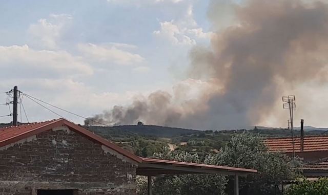 Φωτιά στη Νιγρίτα Σερρών - Ενισχύθηκαν οι πυροσβεστικές δυνάμεις