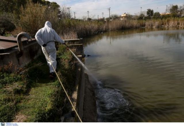 Φθιώτιδα: Το πρόγραμμα συνεργείων κουνοποκτονίας