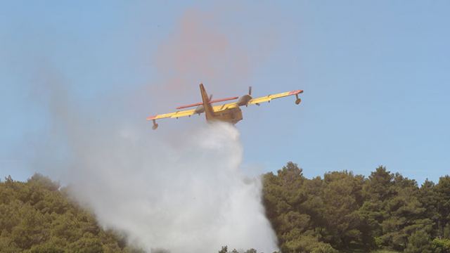 Σύλληψη και βαρύ πρόστιμο σε ηλικιωμένη που άναψε φωτιές