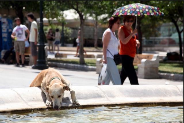 Λαμία: Στους 44°C θα σκαρφαλώσει ο υδράργυρος !