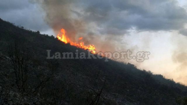 Υπό μερικό έλεγχο η πυρκαγιά στο Μαυρομάτι - Καλύτερα τα πράγματα στην Εύβοια