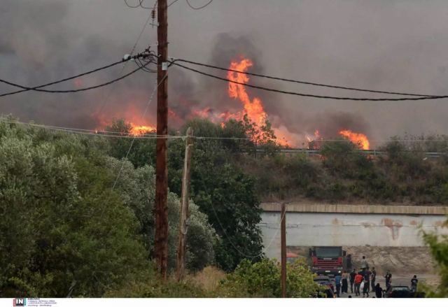 Συνεχείς αναζωπυρώσεις σε Αλεξανδρούπολη και Ροδόπη - Πύρινα μέτωπα περικυκλώνουν χωριά και οικισμούς