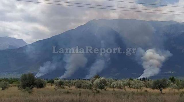 Πυρκαγιά σε τέσσερα μέτωπα μεταξύ Αμφίκλειας και Τιθορέας