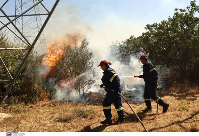 Φωτιά στη Μεγαλόπολη κοντά στο ορυχείο της ΔΕΗ: Εκκενώνεται η περιοχή Χωρέμη, μήνυμα του 112