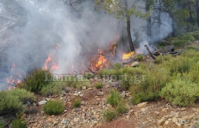 Σύλληψη και πρόστιμα για τις πυρκαγιές στην Εύβοια