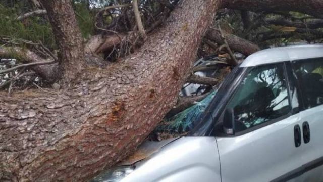 Δέντρο καταπλάκωσε αυτοκίνητο και τραυμάτισε ζευγάρι