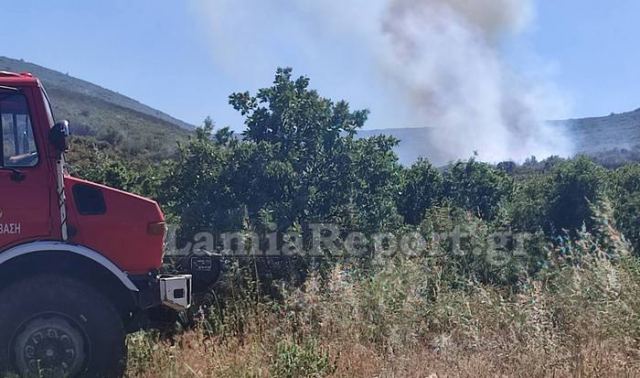 Συνελήφθη ο υπαίτιος για την πυρκαγιά στο Άνυδρο Στυλίδας