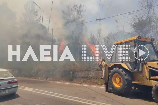 Φωτιά στην Ηλεία: Καλύτερη η εικόνα σε όλα τα μέτωπα – Προσήχθη 65χρονος για εμπρησμό