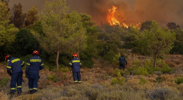 Έβρος: Μεγάλη αναζωπύρωση στο χωριό Κοτρωνιά - Πολύ ισχυροί οι άνεμοι