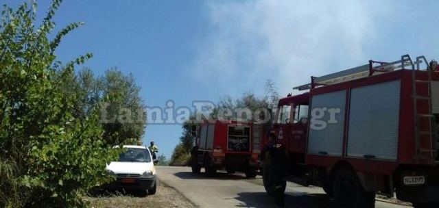 Φθιώτιδα: Σε δύο εστίες ταυτόχρονα πυρκαγιά στην Άγναντη!