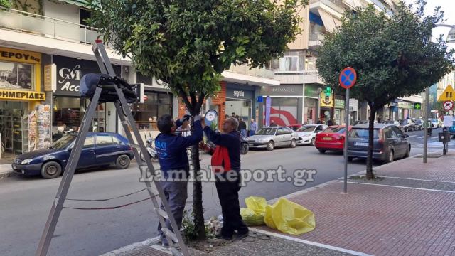 Λαμία: Τους έκλεψαν τα εργαλεία την ώρα που στόλιζαν τα δέντρα για τα Χριστούγεννα (ΒΙΝΤΕΟ)