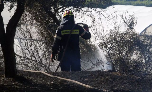 Φωτιά στον Σχοινιά Μαραθώνα - Μάχη με τις φλόγες από γη και αέρα