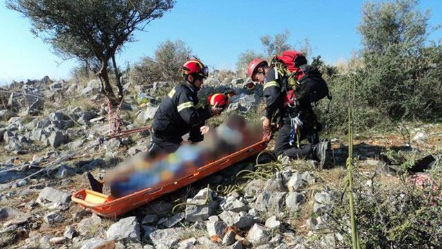 Το αυτοκίνητο σταμάτησε στο δέντρο, αλλά ο παππάς 